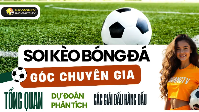 Kinh nghiệm soi kèo bóng đá từ các chuyên gia hàng đầu