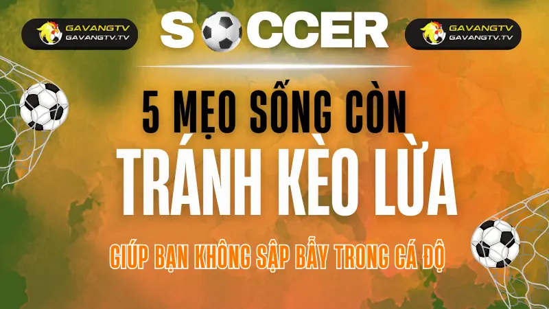 cach tranh keo lua thuong gap trong ca do bong da meo tu chuyen gia